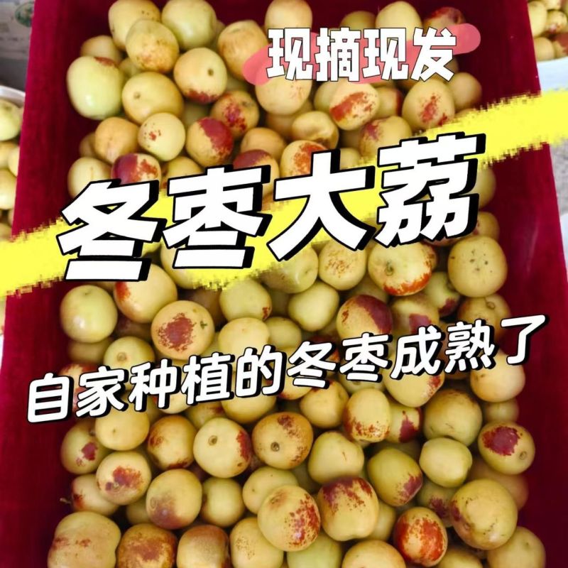 《陕西大荔冬枣》《一件代发》对接抖音快手淘宝拼多多视频号