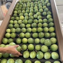 百香果