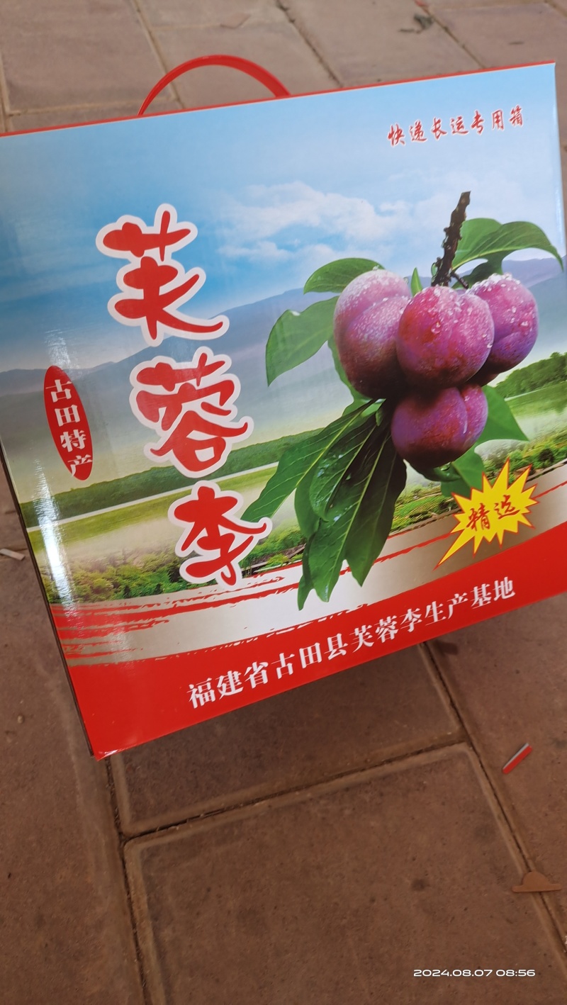 武平芙蓉李