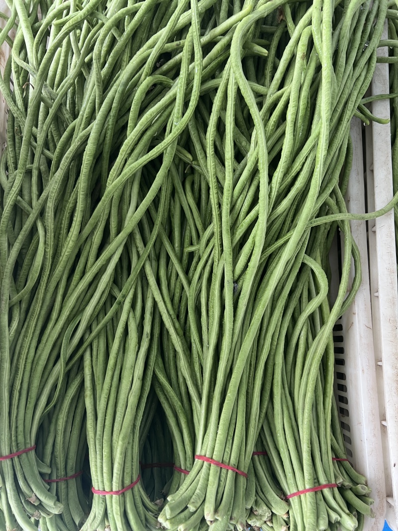 豇豆