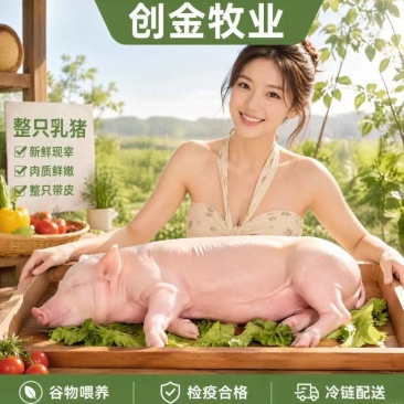 乳猪批发，源头屠宰场直供，无中间商赚差价，量大从优