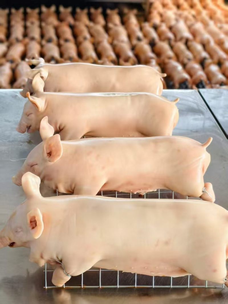 半成品乳猪批发，源头屠宰场直供，无中间商赚差价，量大从优