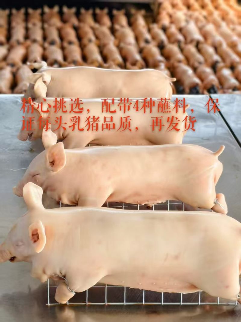 半成品乳猪批发，源头屠宰场直供，无中间商赚差价，量大从优