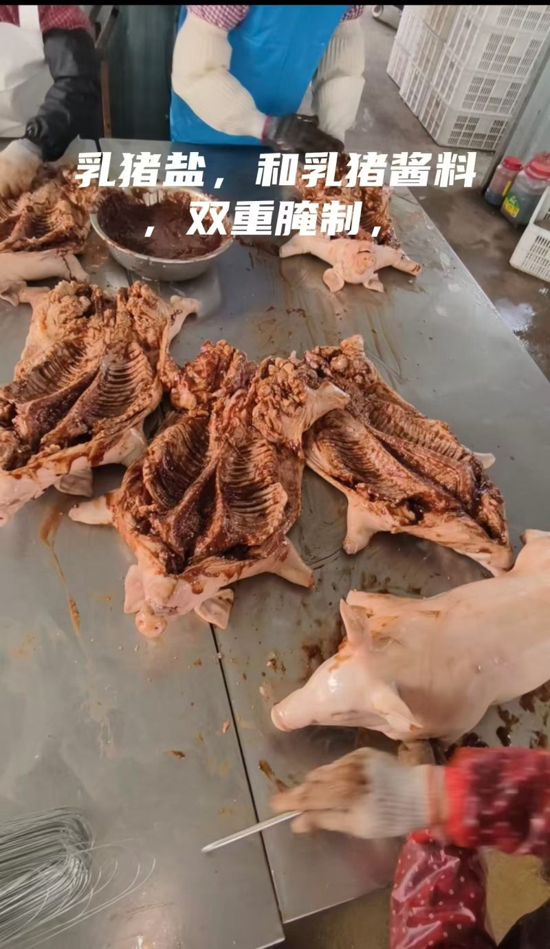 半成品乳猪批发，源头屠宰场直供，无中间商赚差价，量大从优