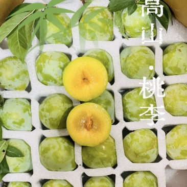 攀枝花.高山桃李青皮黄肉绵糯口感整箱顺丰包邮