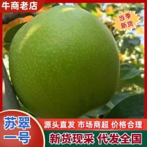 河北现摘苏翠一号鲜果批发皮薄多汁无渣果园支持代发电商市场