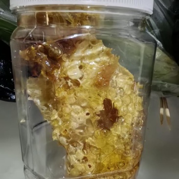 土蜂百花蜜