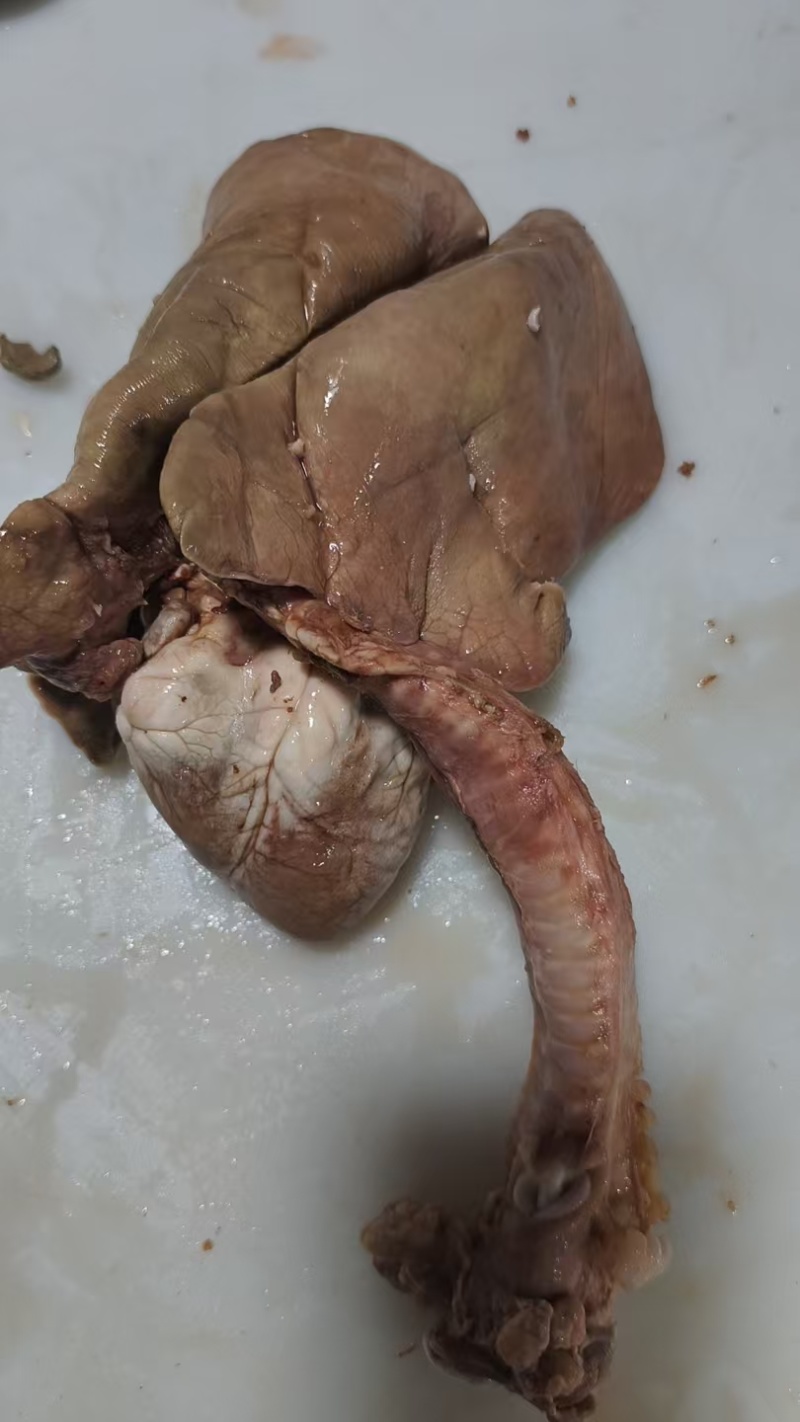 熟羊心肺