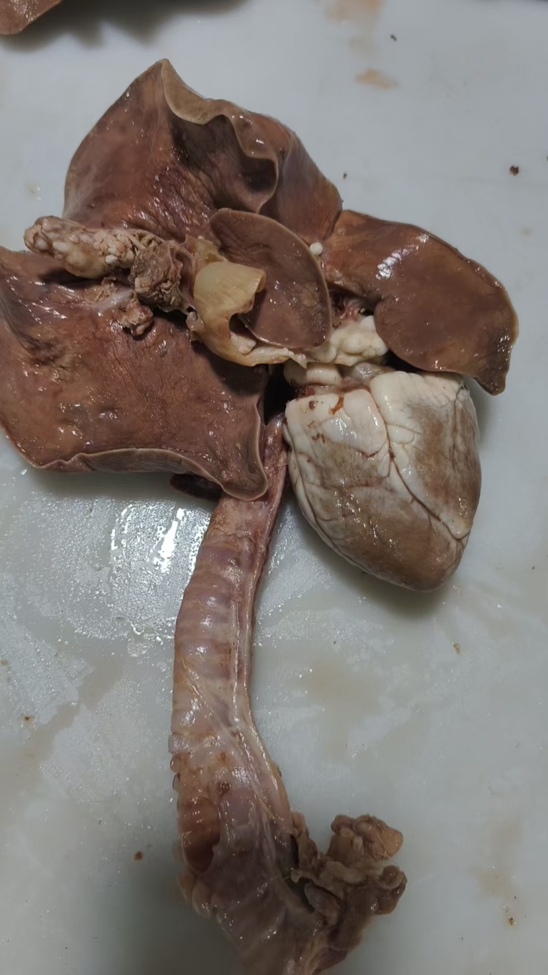 熟羊心肺
