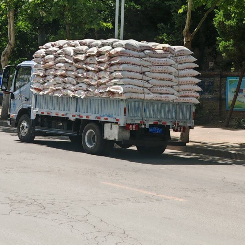 香椿种子产地晒种，产地晒种产地直发，自产自销一手货源现货