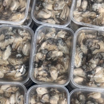 新鲜蚝肉，每天都是现挖现发，各种打包方式都有袋装、瓶装
