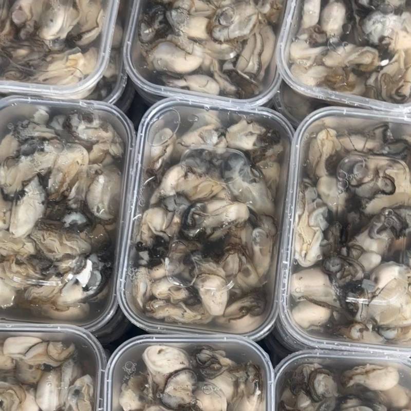 新鲜蚝肉，每天都是现挖现发，各种打包方式都有袋装、瓶装