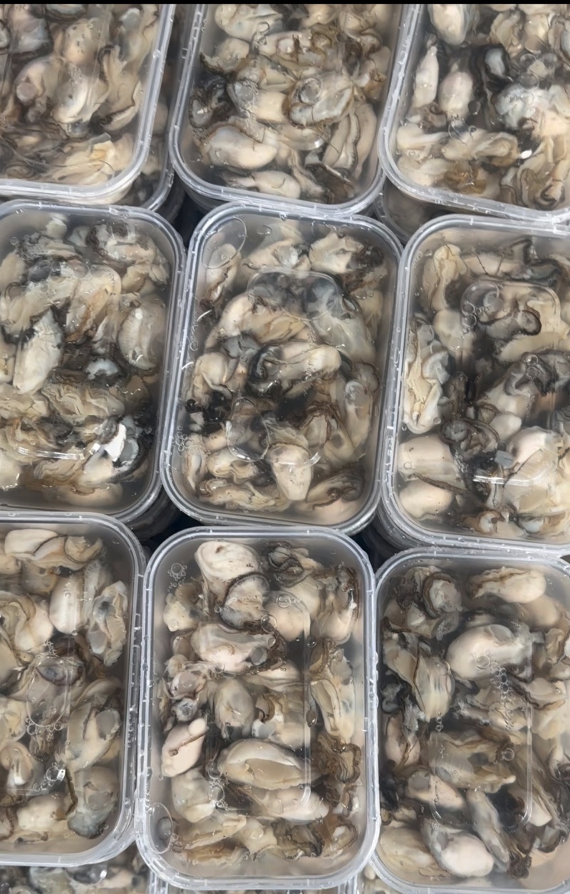 新鲜蚝肉，每天都是现挖现发，各种打包方式都有袋装、瓶装