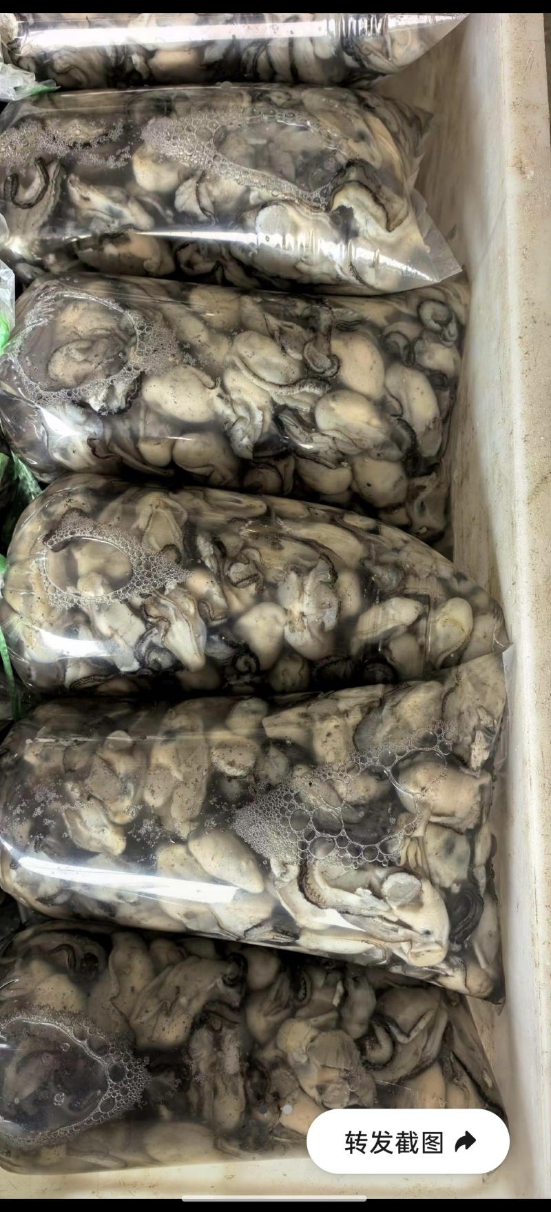 新鲜蚝肉，每天都是现挖现发，各种打包方式都有袋装、瓶装