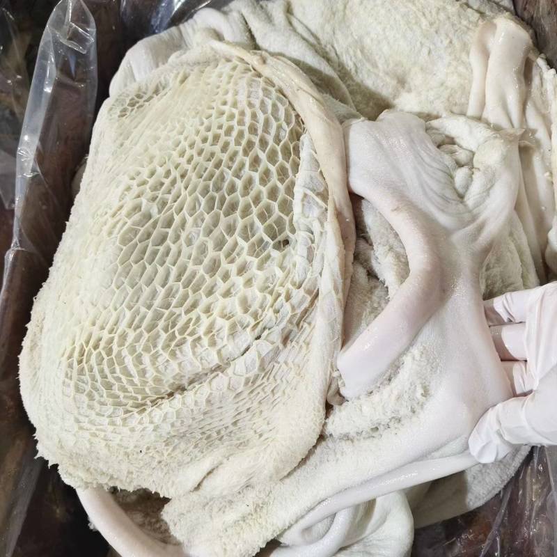 水生牛肚