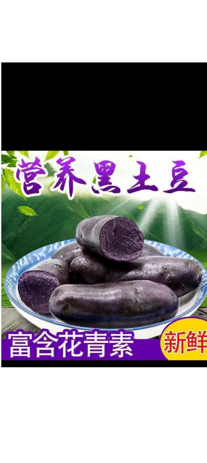 黑美人紫土豆
