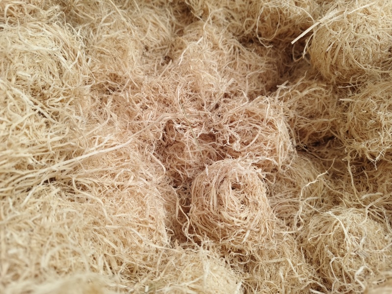 竹茹新货竹茹正品保证假一赔十产地直批发零售干净无杂质包邮