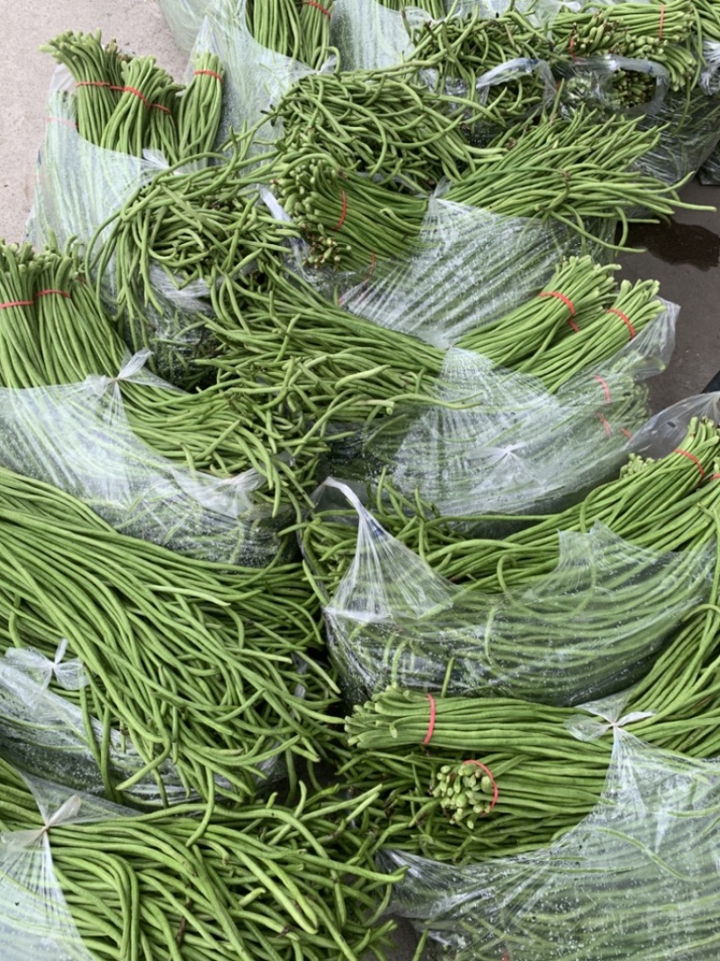 长豆角陕西西安豇豆大量上市，货源充足，一手货源