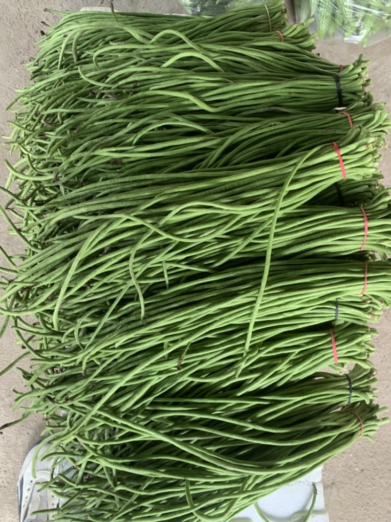 长豆角陕西西安豇豆大量上市，货源充足，一手货源