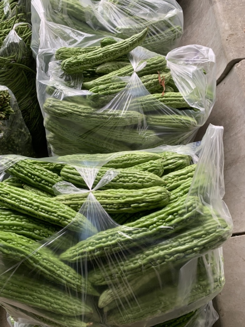 苦瓜陕西西安苦瓜大量上市，货源充足，一手货源
