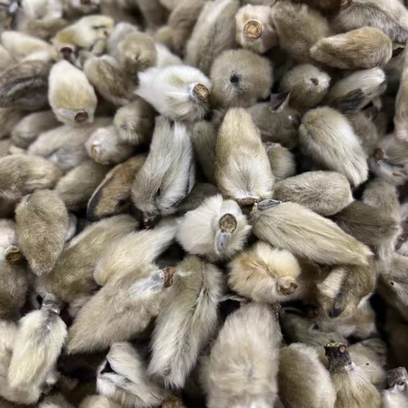 新货辛夷花一手大货货源批发，天然无熏硫干花蕾，量大从优电