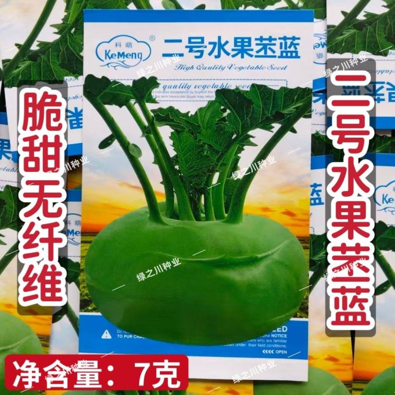 科萌二号水果苤蓝种子特高产鲜食加工腌渍两用苤兰种子皮色绿