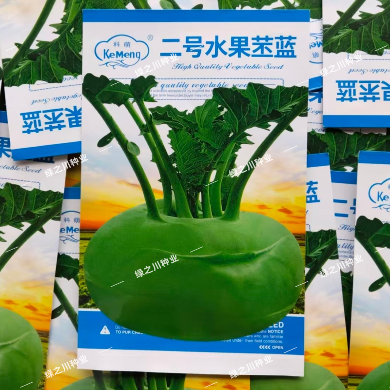 科萌二号水果苤蓝种子特高产鲜食加工腌渍两用苤兰种子皮色绿