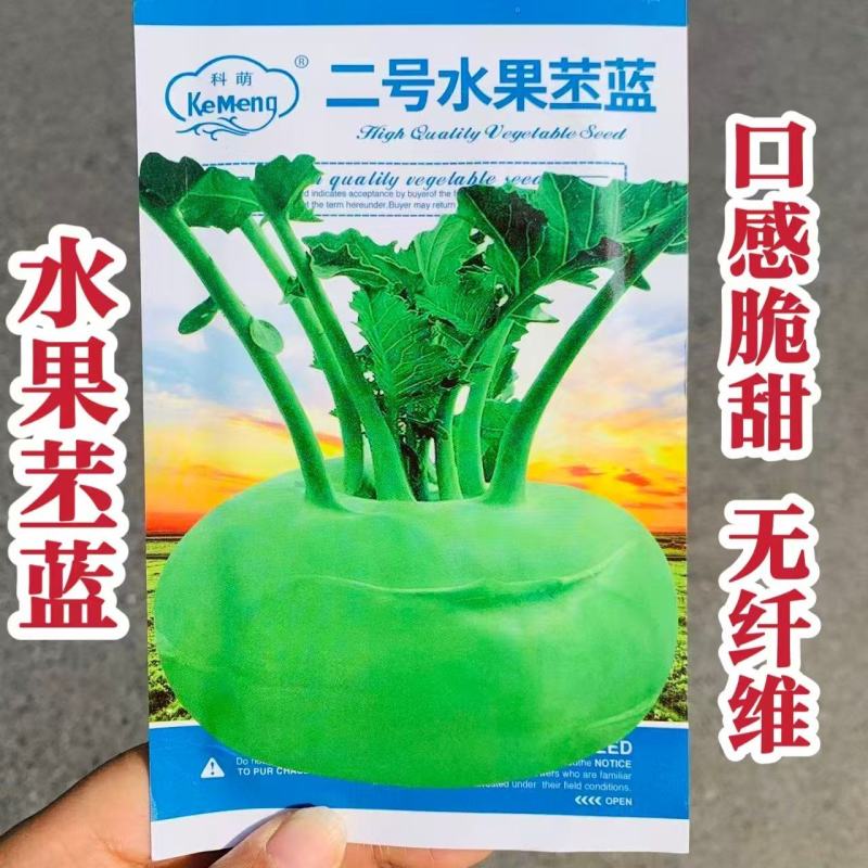 二号水果苤蓝种子晚熟品种皮色绿脆甜无纤维，春秋两季