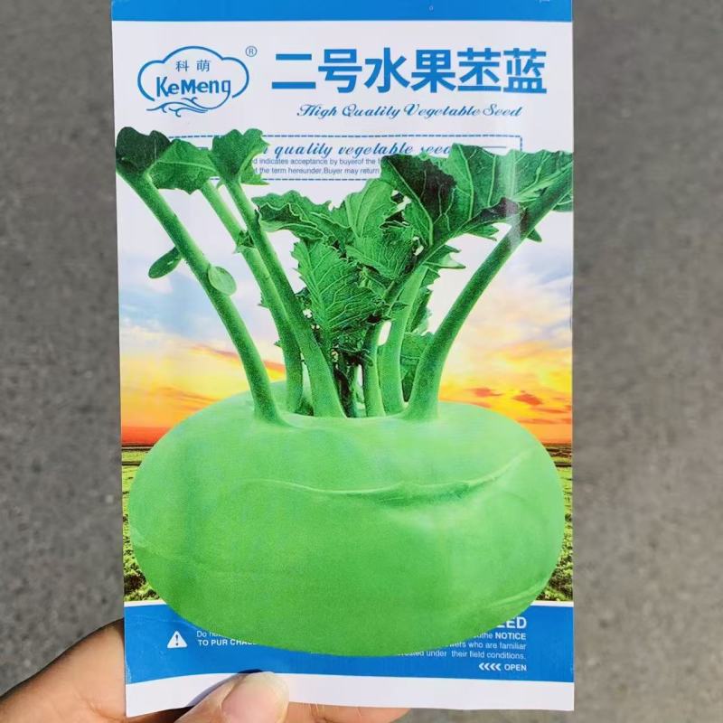 二号水果苤蓝种子晚熟品种皮色绿脆甜无纤维，春秋两季