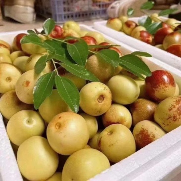 大荔冬枣