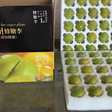 贵州蜂糖李
