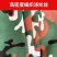 货车篷布迷彩涤纶加厚砂石专用防尘防晒耐磨拉煤车耐刮光滑不
