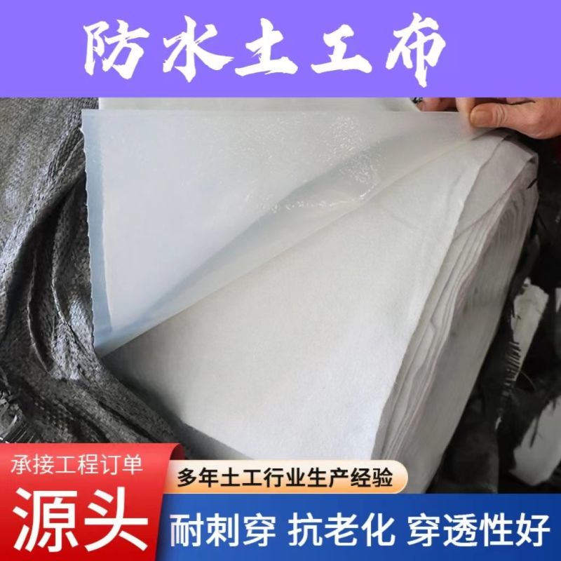 复合一布一膜两布一膜防水土工布河道鱼塘防渗膜防寒土工膜加
