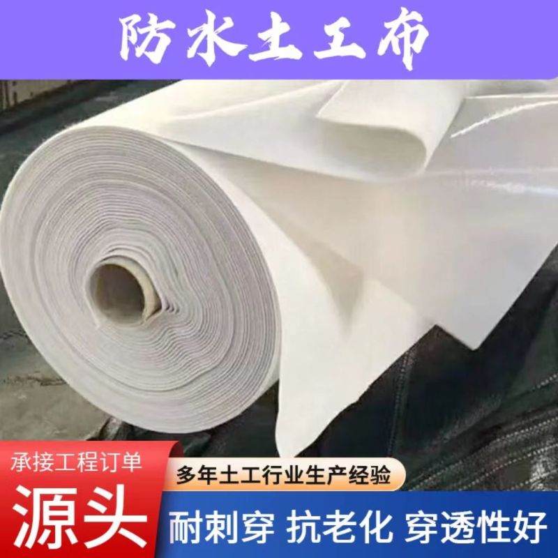 复合一布一膜两布一膜防水土工布河道鱼塘防渗膜防寒土工膜加