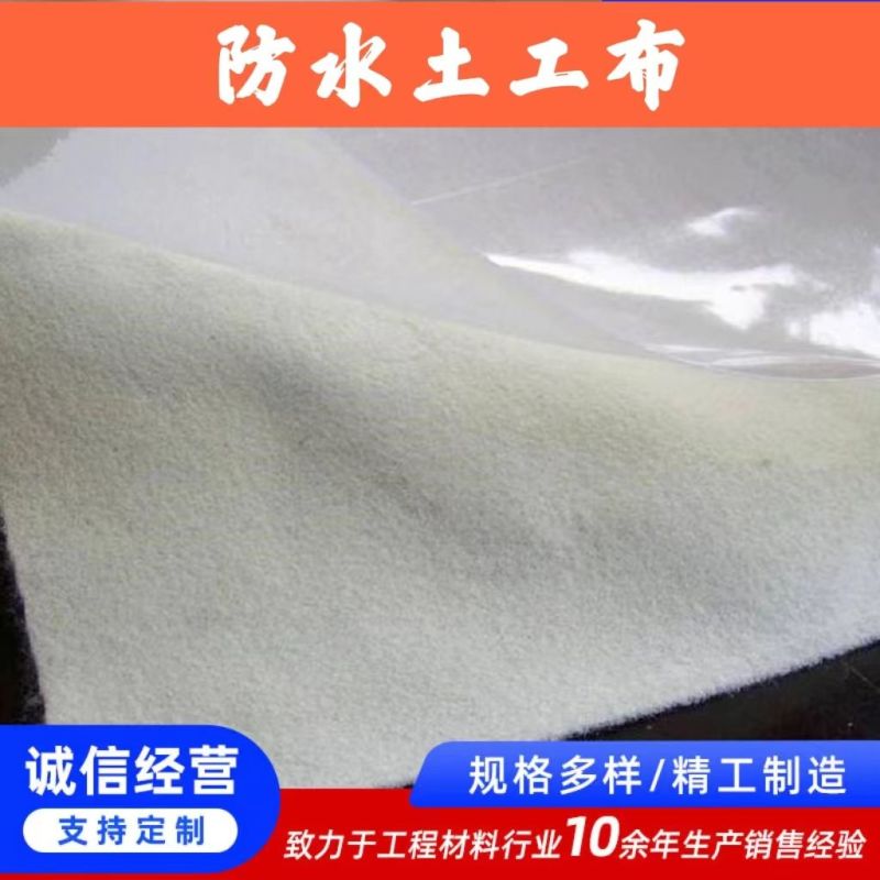 复合一布一膜两布一膜防水土工布河道鱼塘防渗膜防寒土工膜加