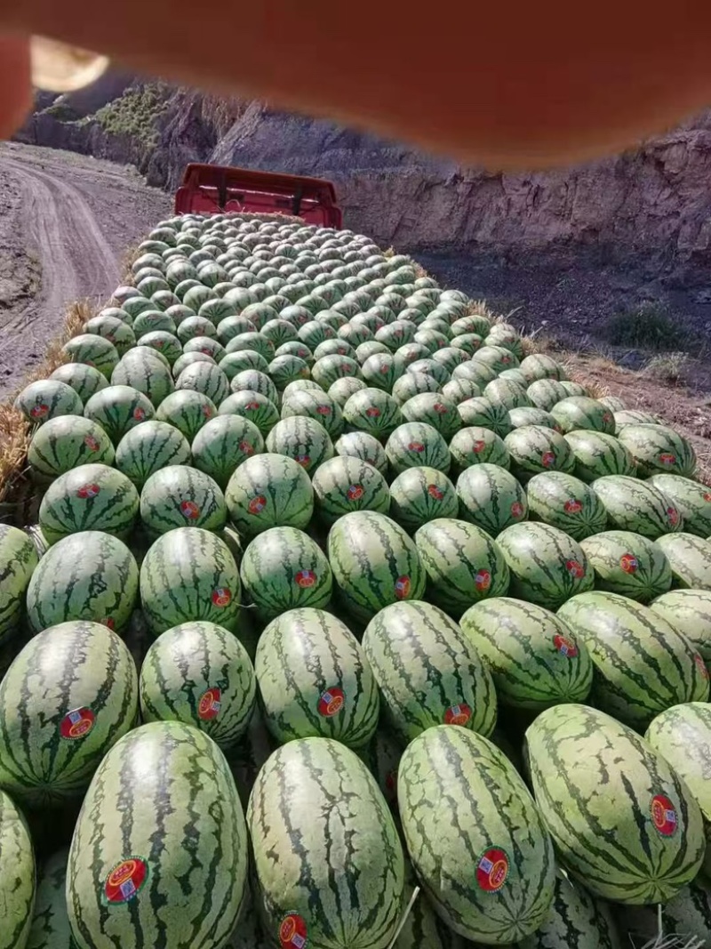 宁夏中卫西砂瓜，瓜熟保甜，产地直产直销，全国发货价格优惠