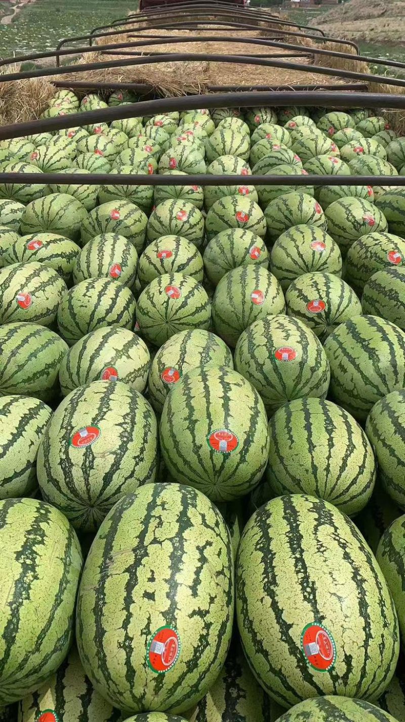 宁夏中卫西砂瓜，瓜熟保甜，产地直产直销，全国发货价格优惠