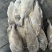 马面鱼100/300船冻马面鱼剥皮鱼