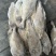马面鱼100/300船冻马面鱼剥皮鱼