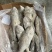 马面鱼100/300船冻马面鱼剥皮鱼