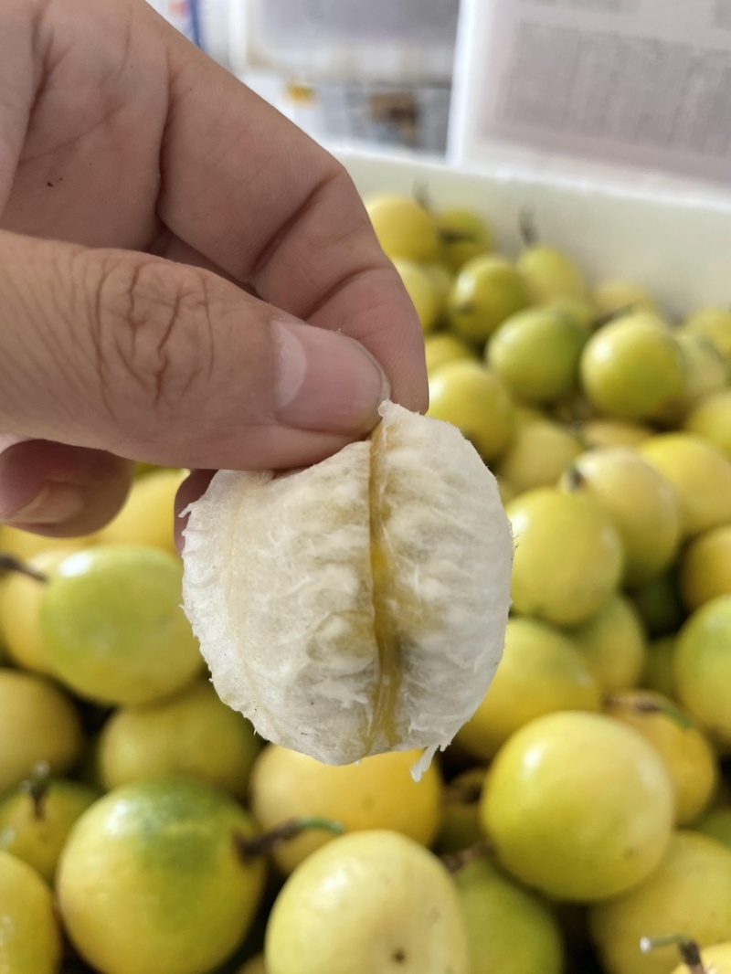 钦蜜9号黄金百香果日发2万斤➕能力欢迎批发市场商超老板