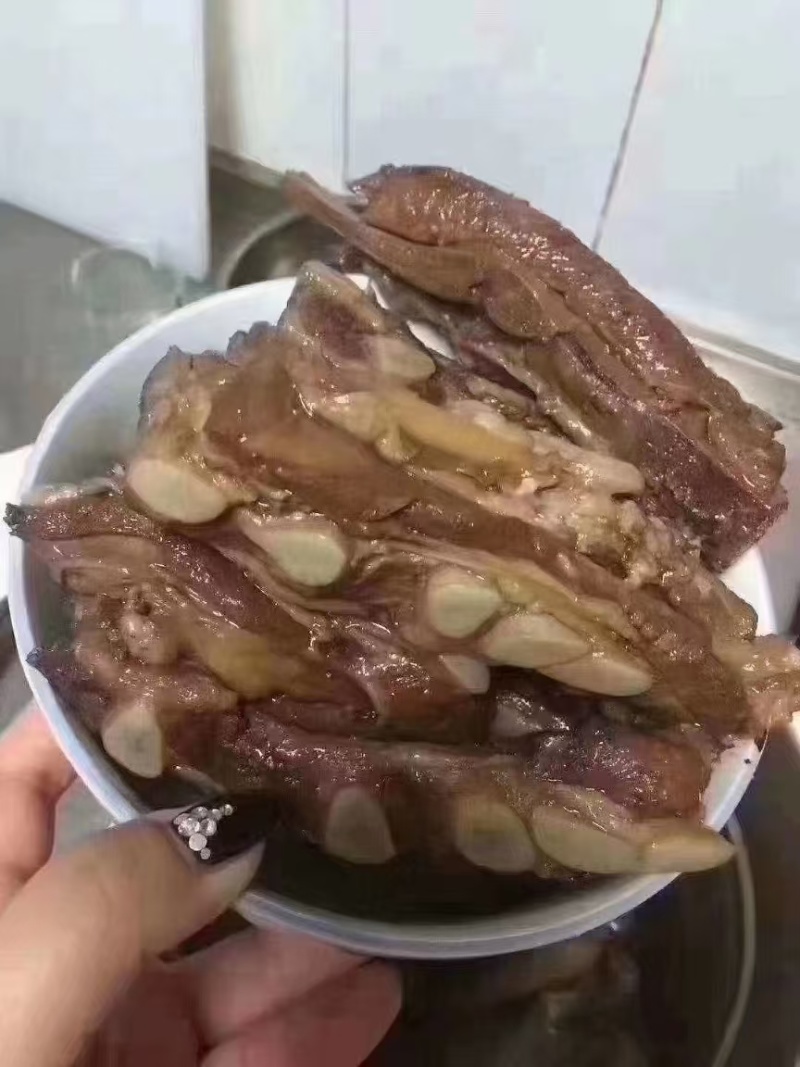 猪胸骨