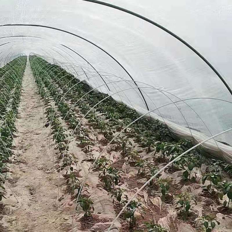 拱棚支架菜棚保温棚育苗棚花棚拱杆葡萄避雨棚支架大棚骨架全