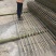 养鸡鸭鹅漏粪板鸡粪板家禽养殖板鹅鸭舍竹排养鹅用竹芭竹粪板