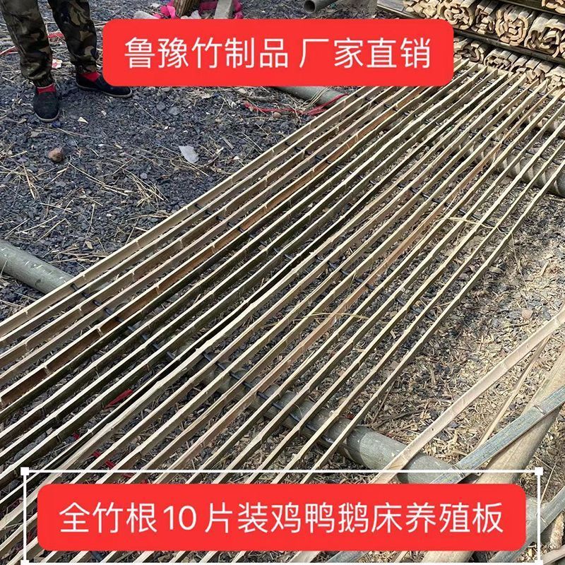 养鸡鸭鹅漏粪板鸡粪板家禽养殖板鹅鸭舍竹排养鹅用竹芭竹粪板
