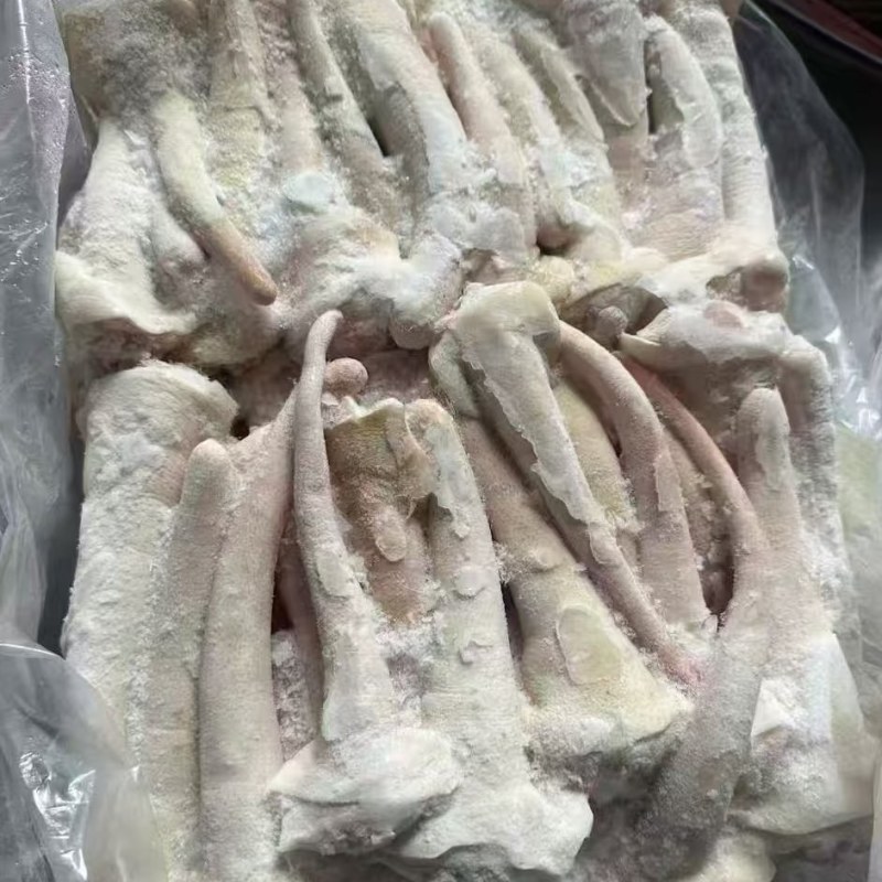 猪中尾巴