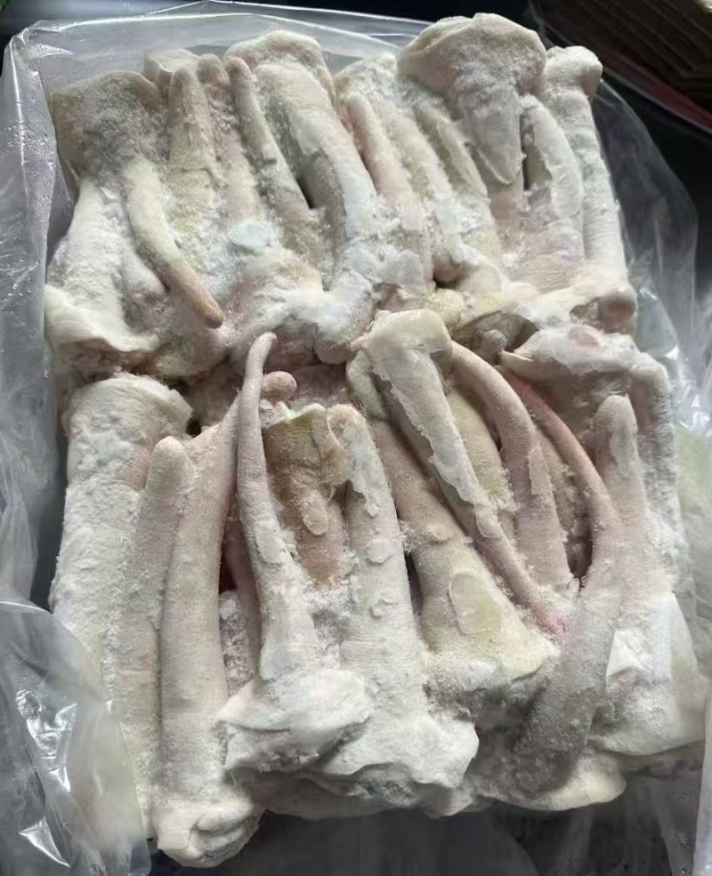 猪中尾巴