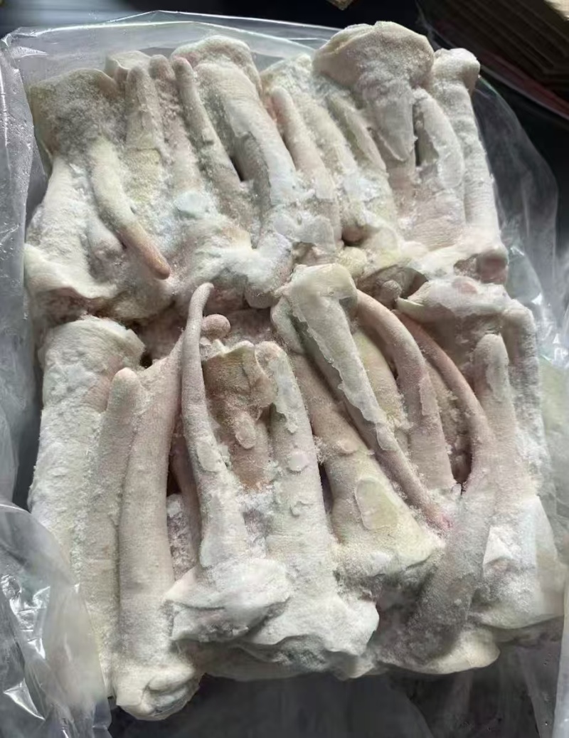 猪中尾巴