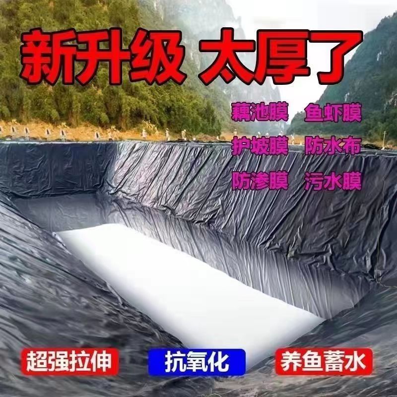 鱼塘防渗膜耐用蓄水池土工膜黑色薄膜鱼池专用加厚水池防水布