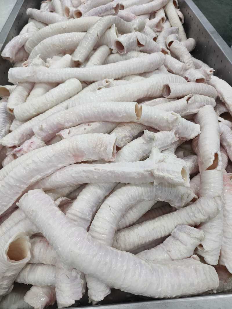 牛肺管